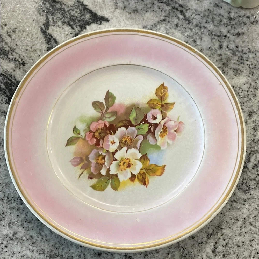 Antique Harker Pottery Co. Semi-Porcelain Wild Rose Plate c. 1890-1910!